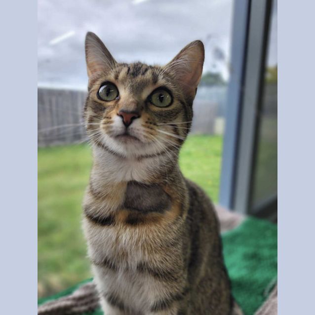 Photo of 🍄Gigi F02626 🍄