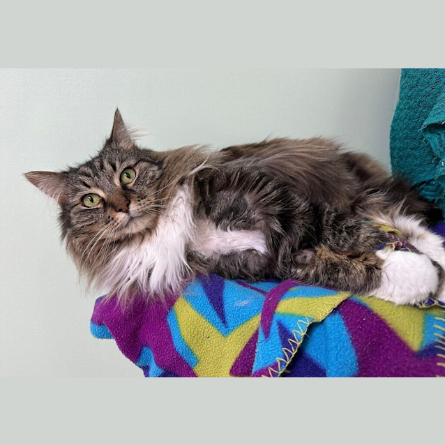 Photo of Boots