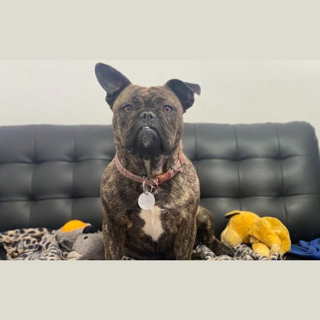 Photo of Fi Fi