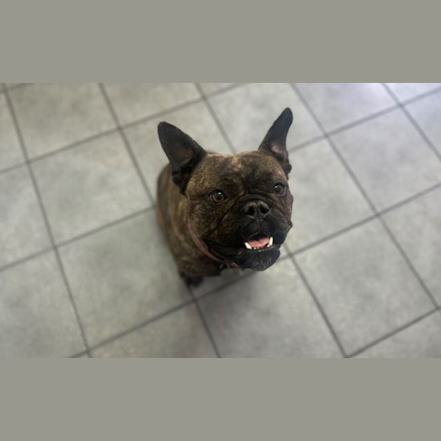 Photo of Fi Fi