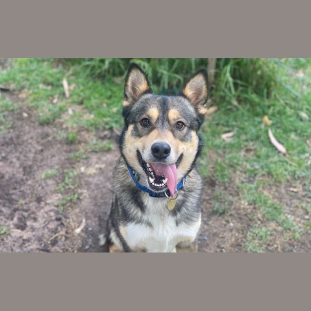 Photo of Gunther