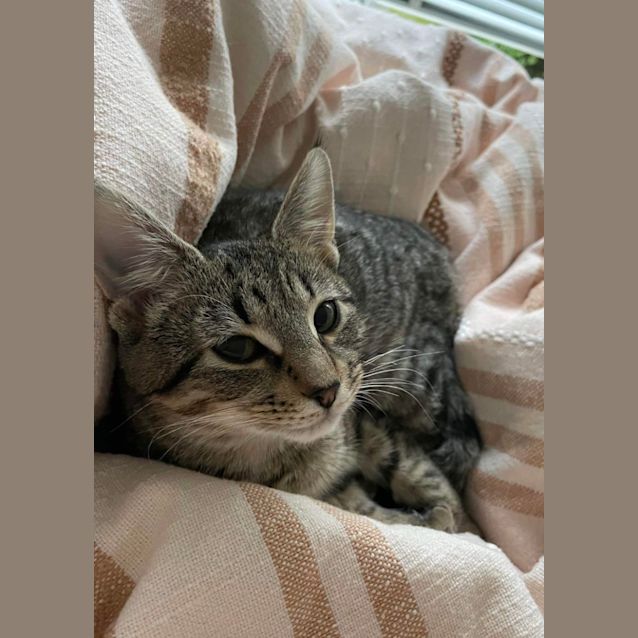 Photo of Fiona