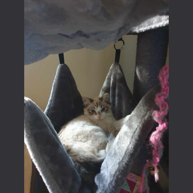 Photo of Mystique