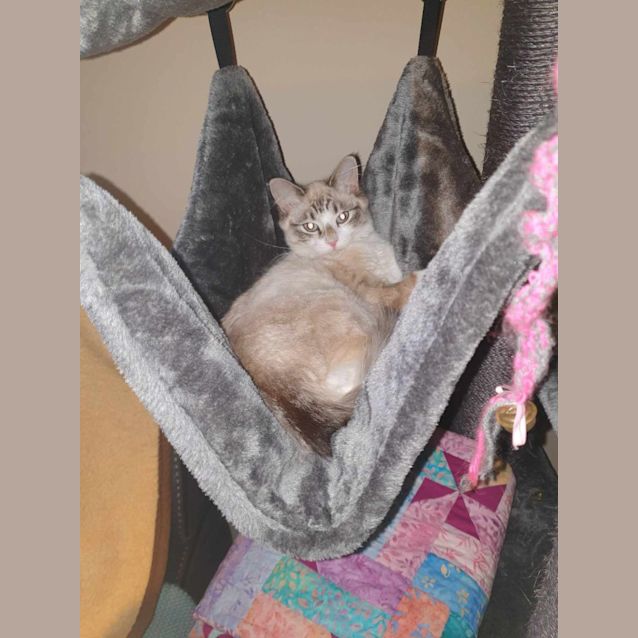 Photo of Mystique