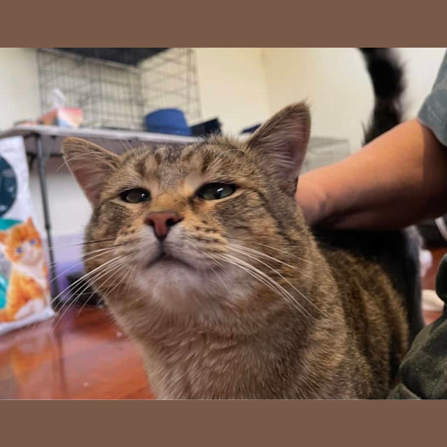 Photo of Marvelous Malcolm 