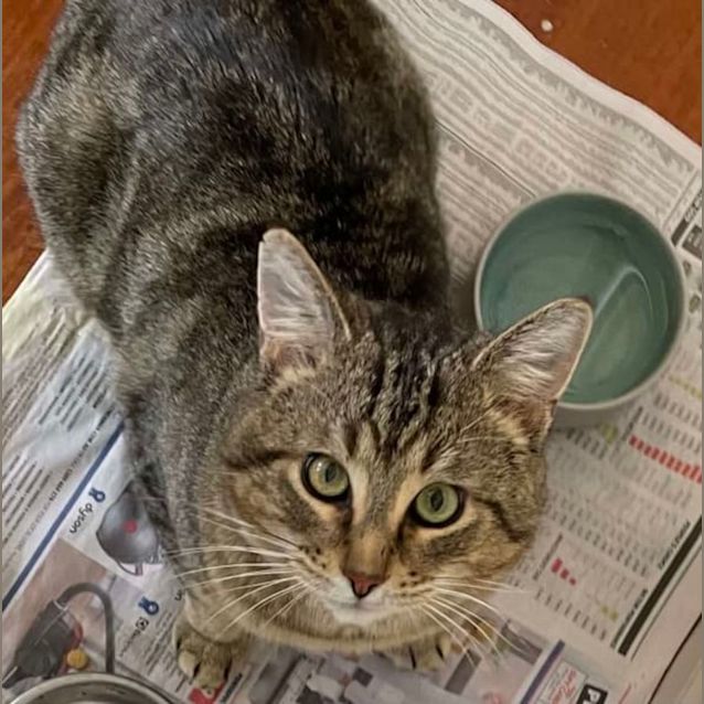 Photo of Marvelous Malcolm 