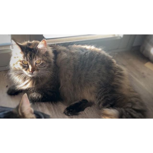 Photo of 166   Indica