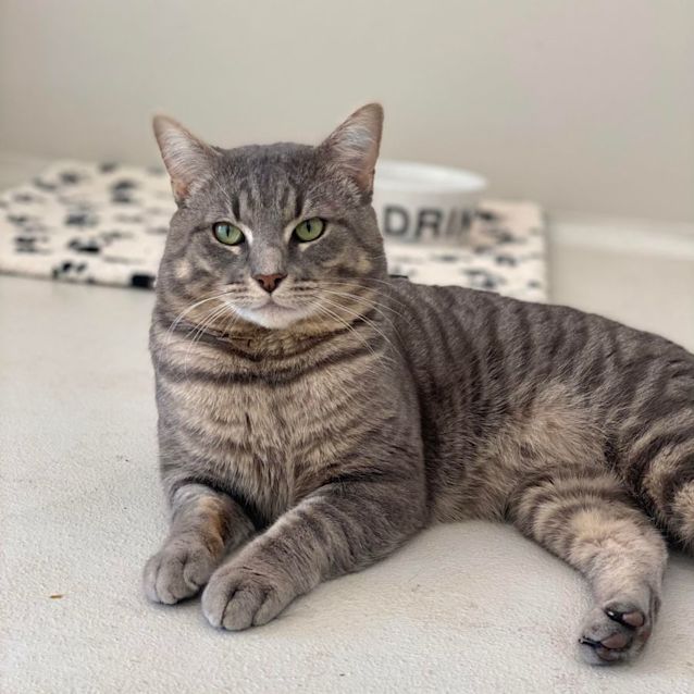 Photo of Mr Bojangles