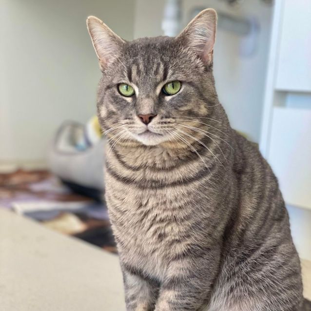 Photo of Mr Bojangles