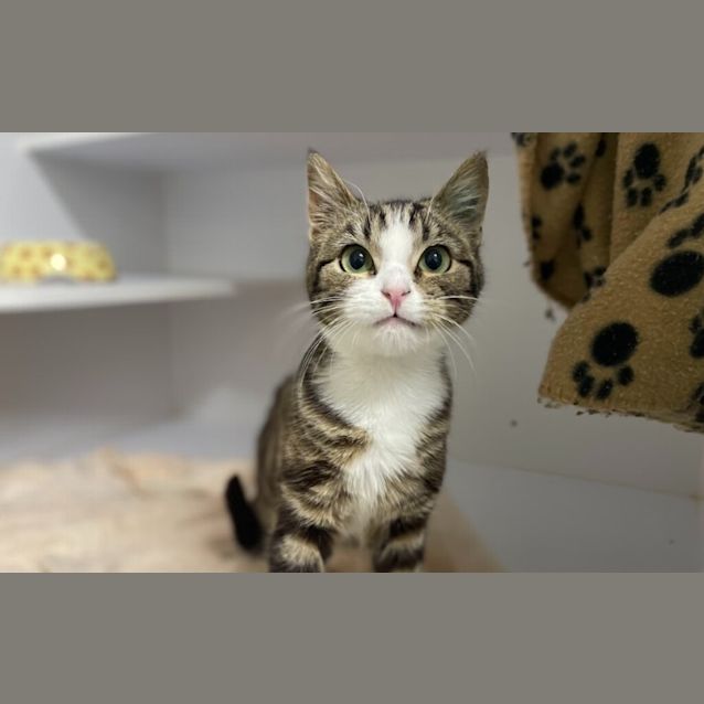Photo of Pawla