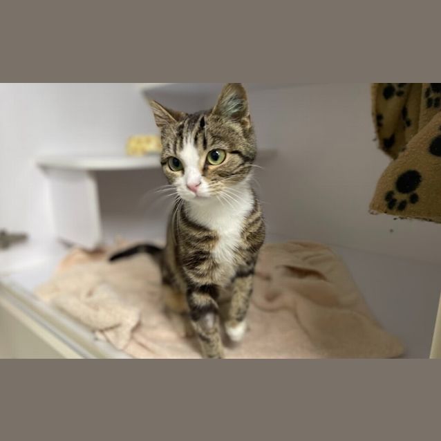Photo of Pawla