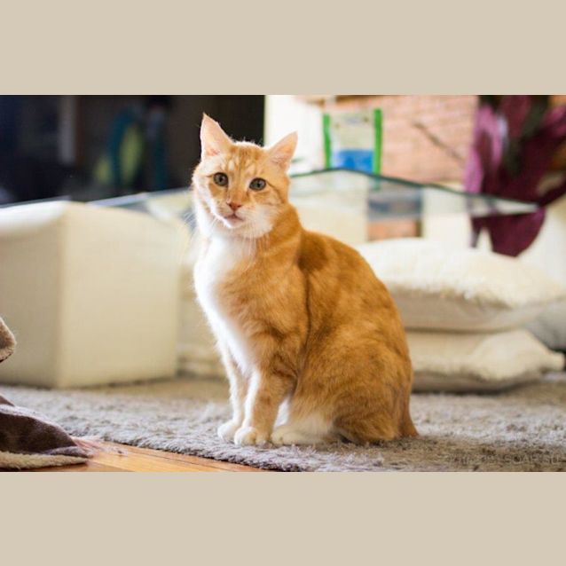 Photo of Scooter Wilberforce