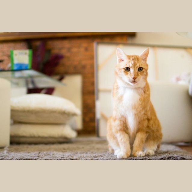 Photo of Scooter Wilberforce