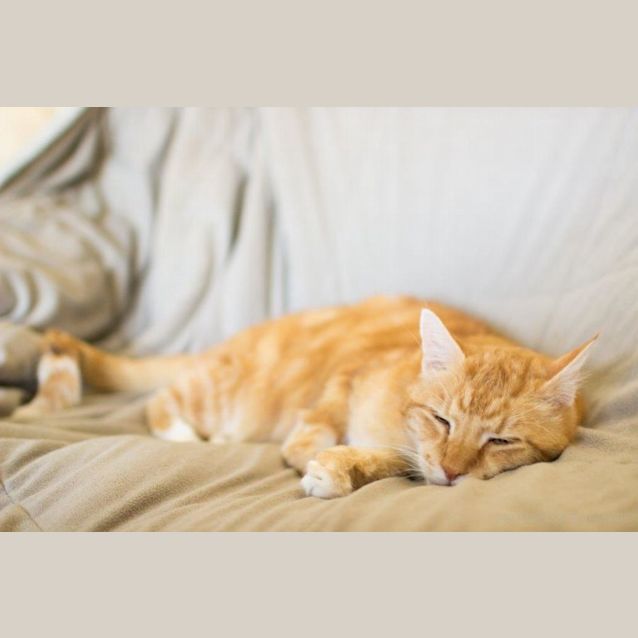 Photo of Scooter Wilberforce