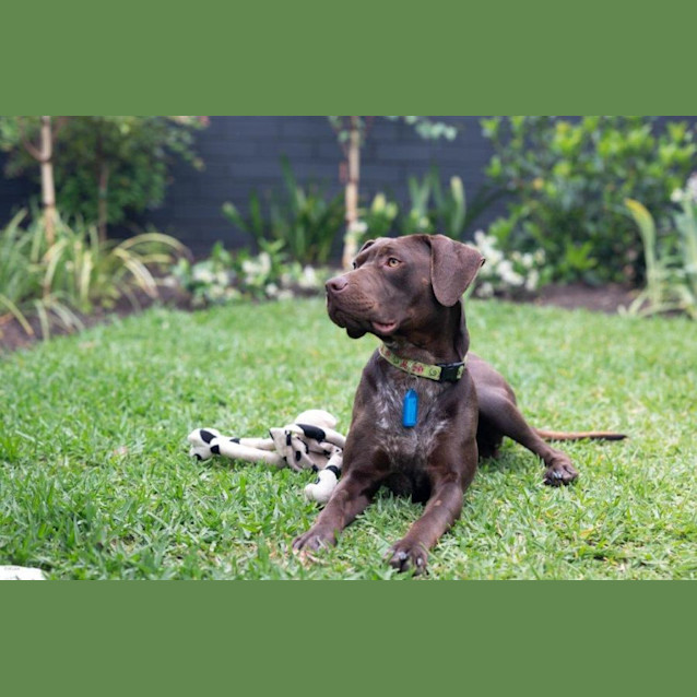 Photo of Janie Yarbury