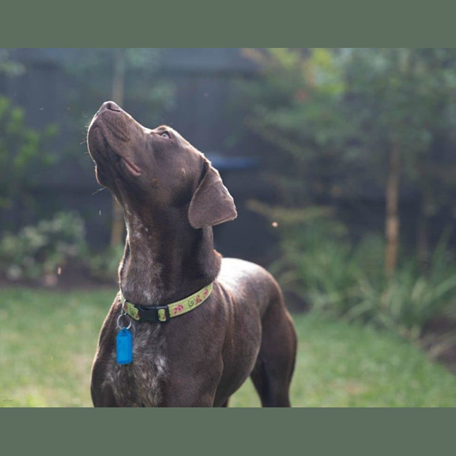 Photo of Janie Yarbury