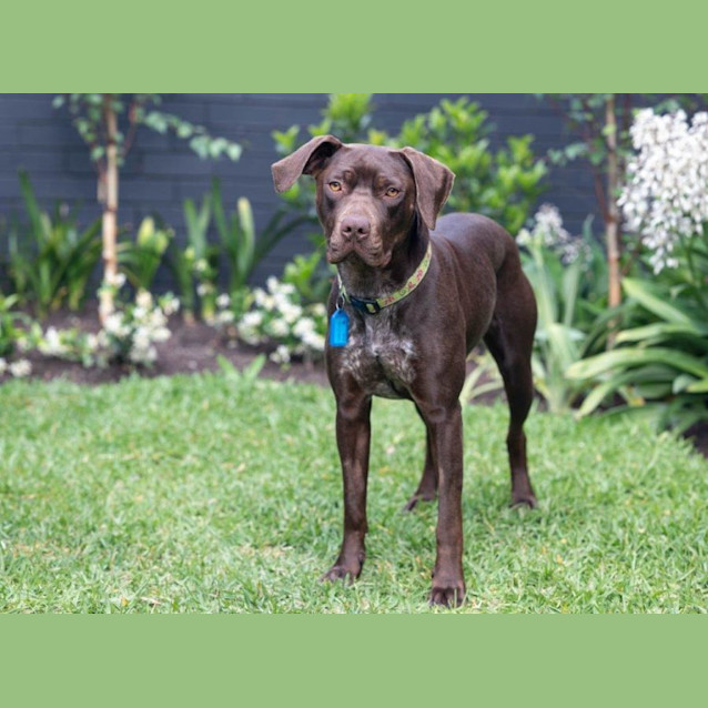 Photo of Janie Yarbury