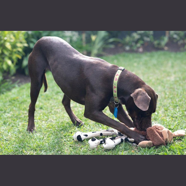 Photo of Janie Yarbury