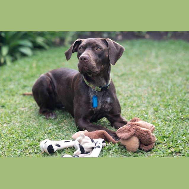 Photo of Janie Yarbury