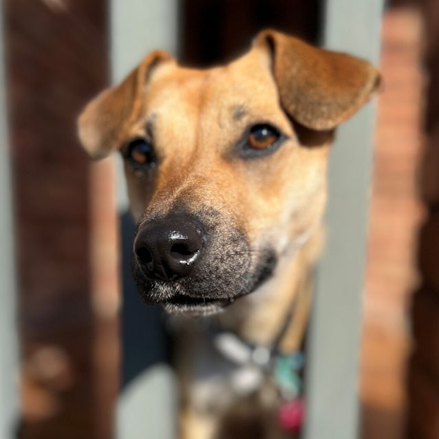 Photo of Lizzie