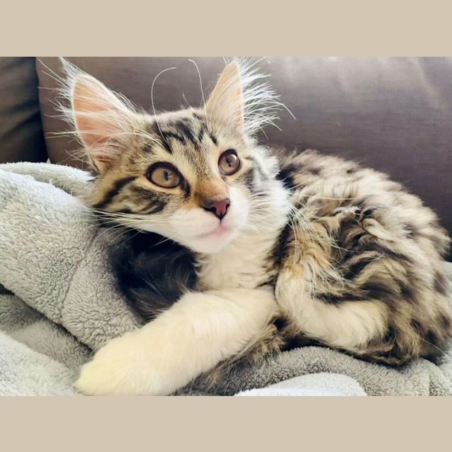 Photo of Chester   Located In Fairfield