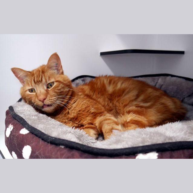 Photo of Derrick Sta011512