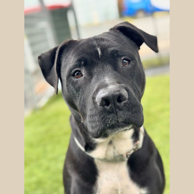 Photo of Murphy