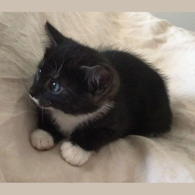 Photo of C1231 Kenny