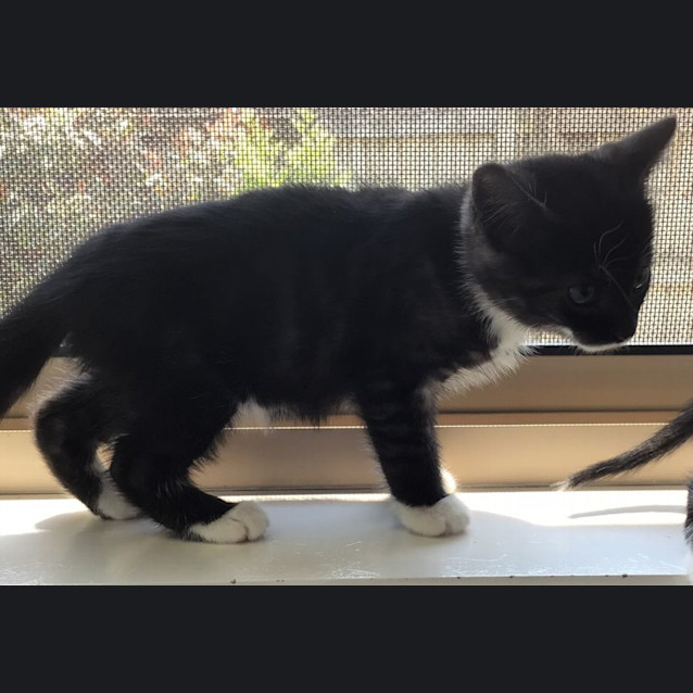 Photo of C1231 Kenny