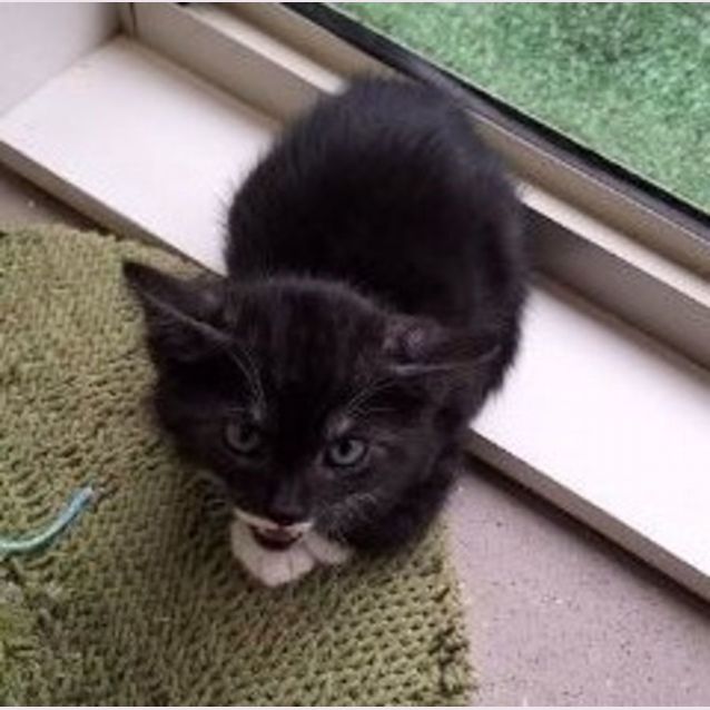 Photo of C1231 Kenny