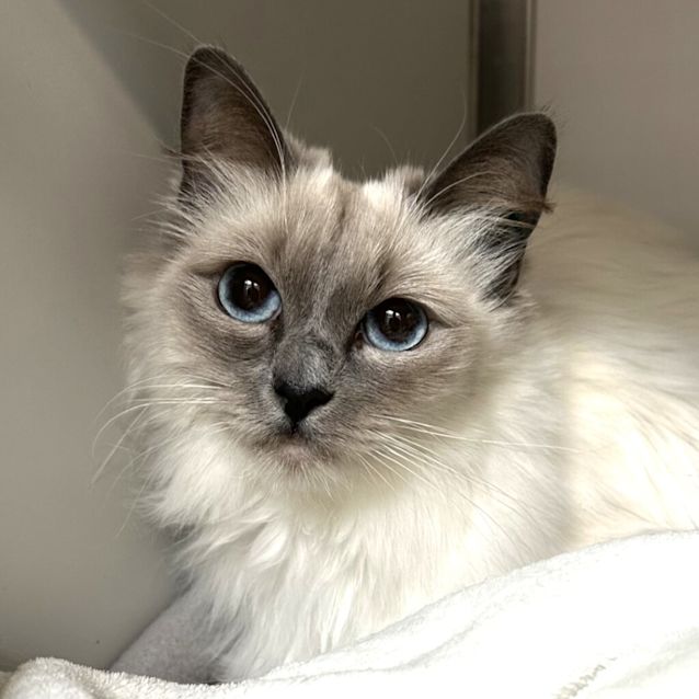 Photo of Yuki