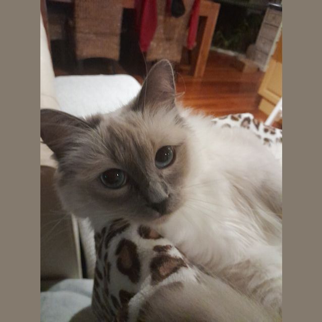 Photo of Yuki