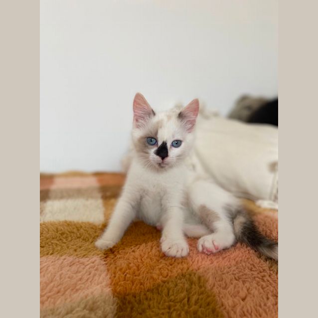 Photo of Effie