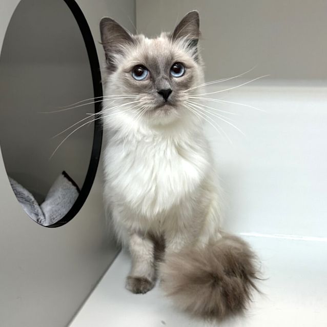 Photo of Yuki
