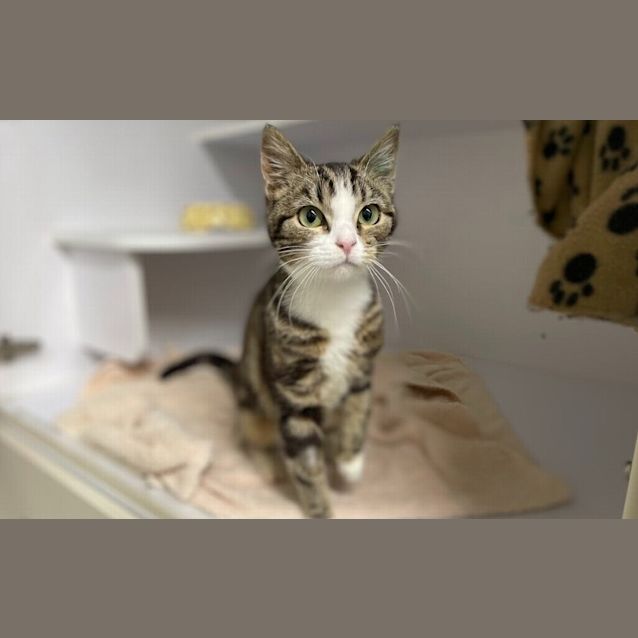 Photo of Pawla