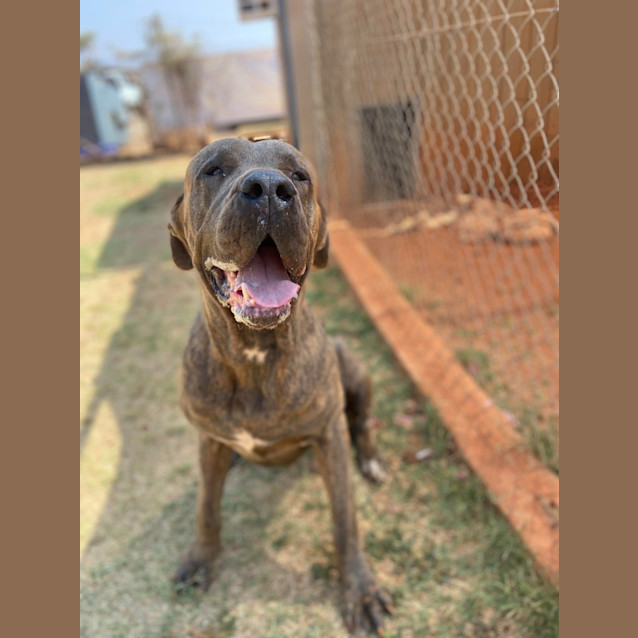 Photo of Major
