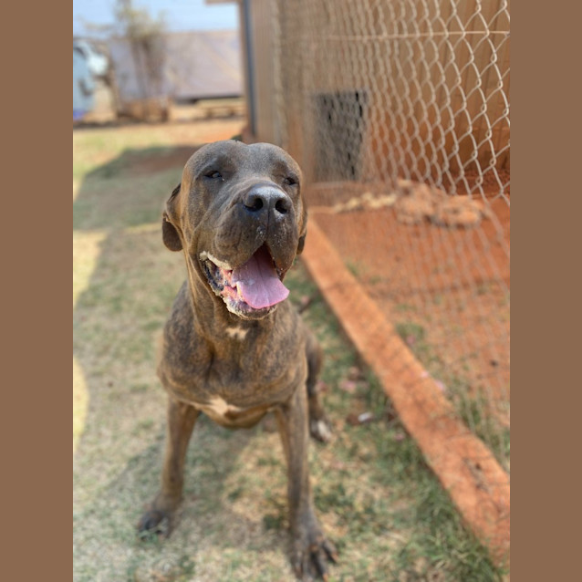 Photo of Major