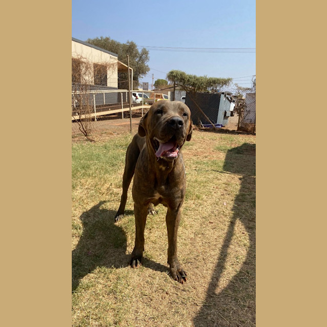 Photo of Major