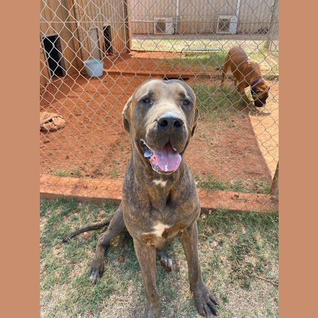 Photo of Major