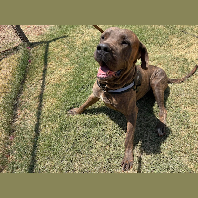 Photo of Major