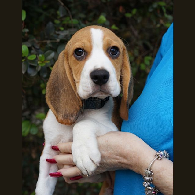 Photo of Timothy