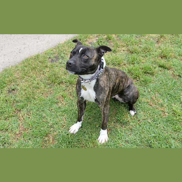 Photo of Buffy