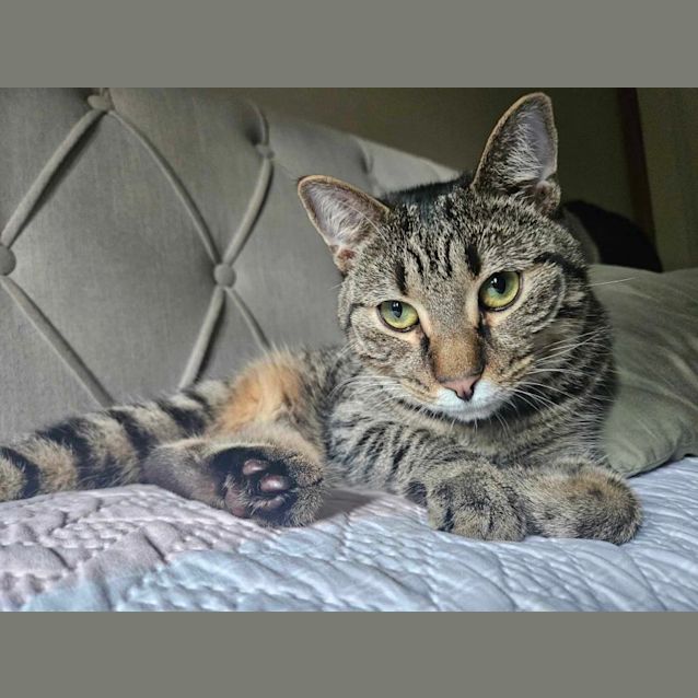 Photo of Keisha