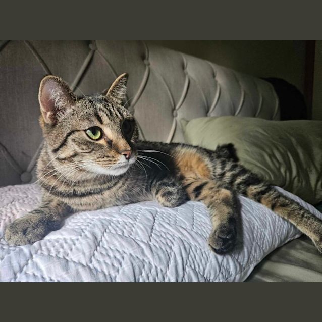 Photo of Keisha