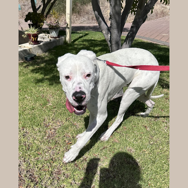 Photo of Sweetie