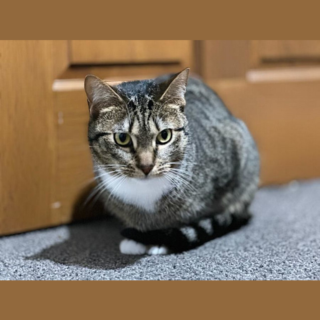 Photo of Juno 🌷🌷