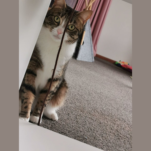 Photo of Mila 🌷🌷