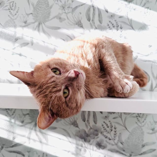 Photo of Gregory   Located In Preston