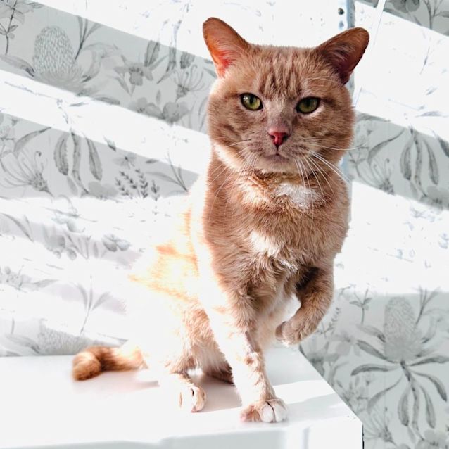 Photo of Gregory   Located In Preston