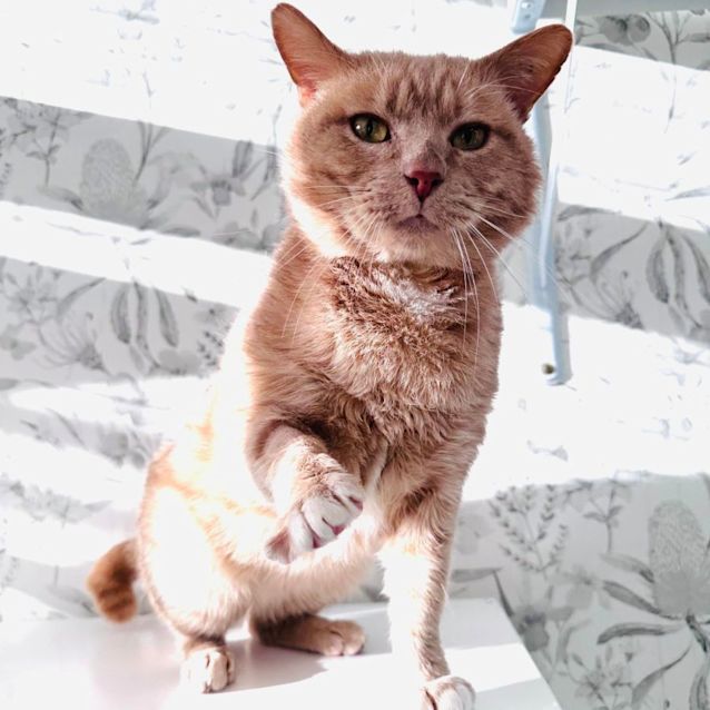 Photo of Gregory   Located In Preston